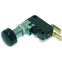 MICROINTERRUTTORE 12A 250V 1240055