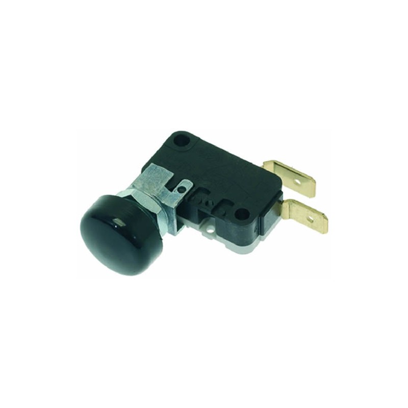 MICROINTERRUTTORE 16A 250V  1240056