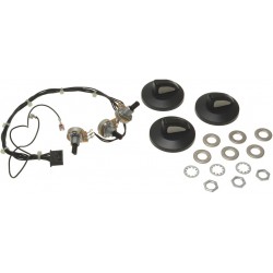 KIT POTENZIOMETRI COMPLETI CON CAVO  Cod. 3057160