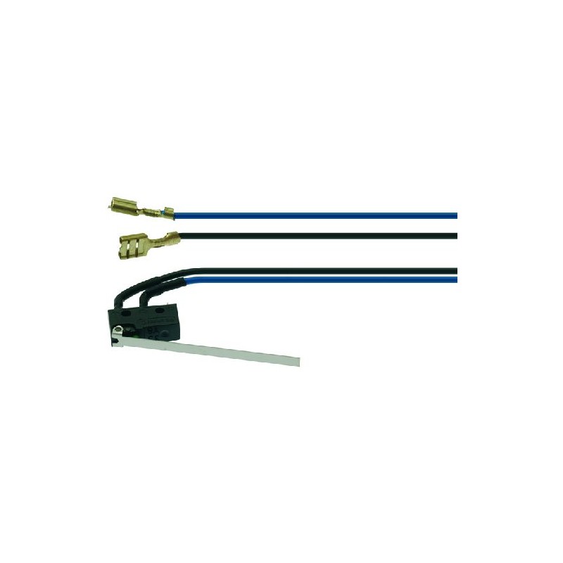 MICROINTERRUTTORE 0,1A 250V 1240069