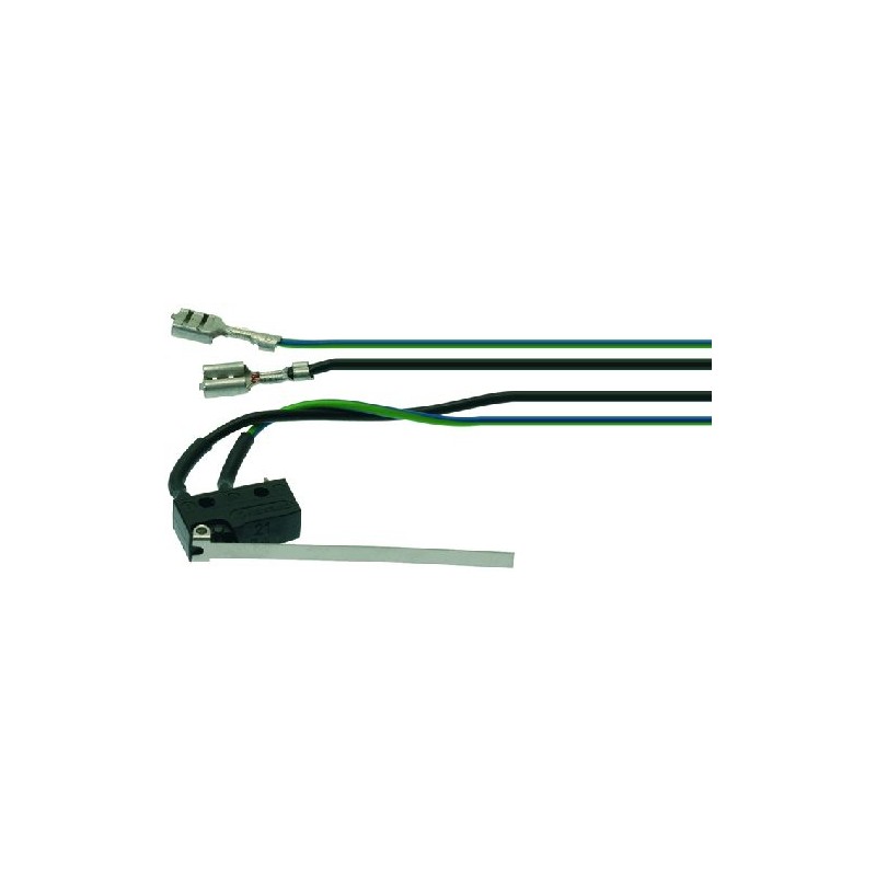 MICROINTERRUTTORE 10A 250V 1240070