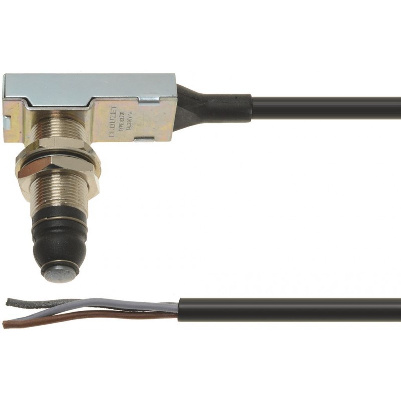 MICROINTERRUTTORE 83731 5A 250V    CODICE: 3240054