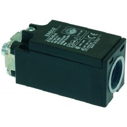 MICROINTERRUTTORE E100.00.A1 6A 230V    CODICE: 3240670