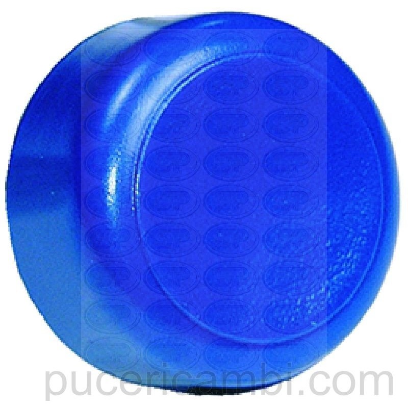 TASTO ROTONDO BLU ø 25 mm  3319553 