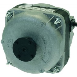 MOTORE ELCO 10W BIVALENTE 1240220