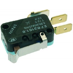 MICROINTERRUTTORE 0,1A 250V 1240227