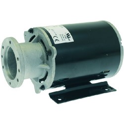 MOTORE SMA A FLANGIA 150W UL 1240295