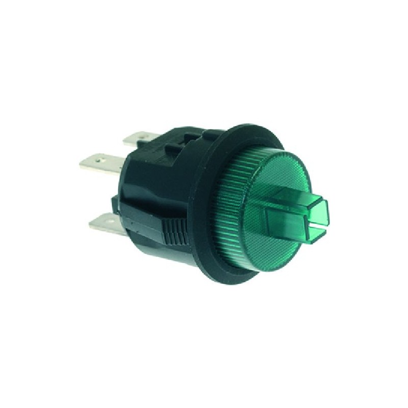 INTERRUTTORE BIPOLARE VERDE 10A 250V  Cod. 1319415