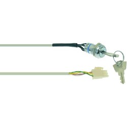 INTERRUTTORE A CHIAVE 4/2A 125/250V  Cod. 1319465