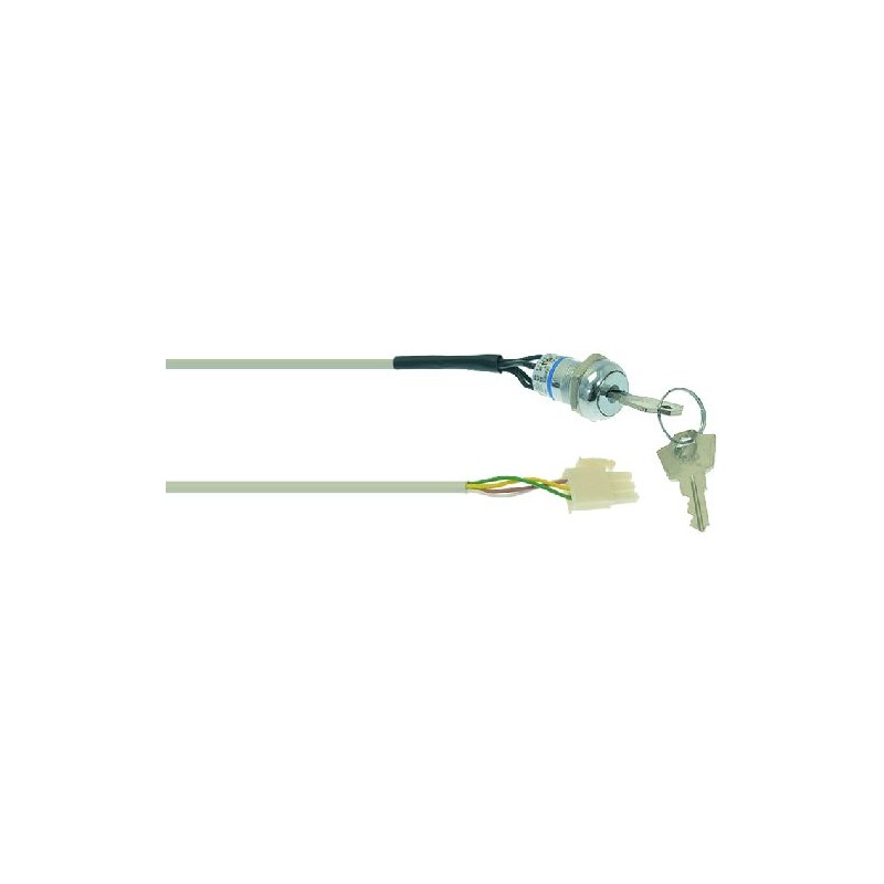 INTERRUTTORE A CHIAVE 4/2A 125/250V  Cod. 1319465