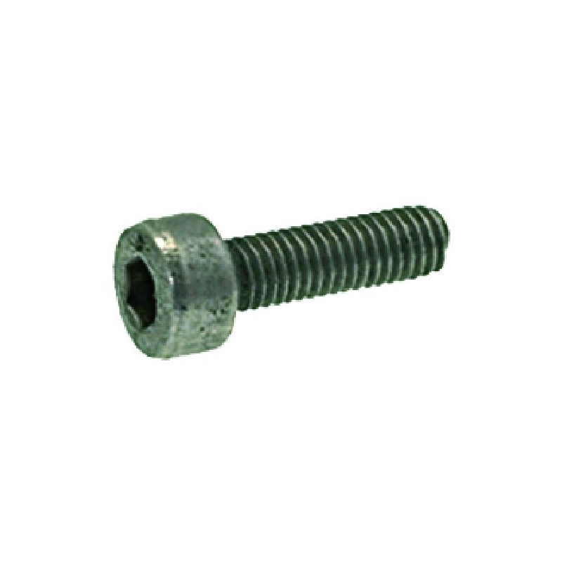 VITE A TESTA CILINDRICA M4x10  Cod. 1455034