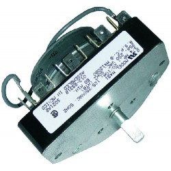 PROGRAMMATORE 60 MINUTI - 24V  Cod. 3446196