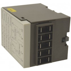 TEMPORIZZATORE FIBER L03 10'2" 24Vac  Cod. 3446242