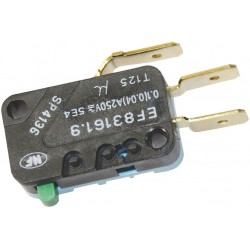 MICROINTERRUTTORE EF83161.9 0,1A 250V  Cod. 3803020