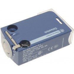 MICROINTERRUTTORE ZCMD25 1,5A 400V  Cod. 3803064