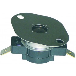 TERMOSTATO DI SICUREZZA 300°C  Cod. 3744029