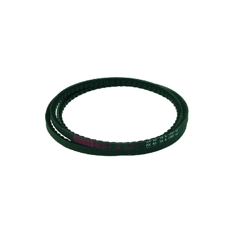 CINGHIA ZX 62 DENTATA 10x1597 mm    CODICE: 5002428