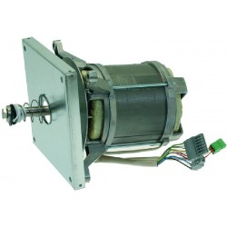 MOTORE HANNING L9FGW4D-607    CODICE: 5035854