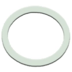 GUARNIZIONE PIANA PTFE...