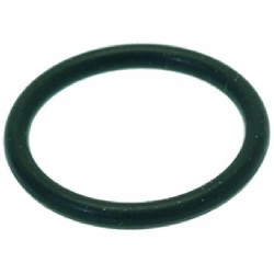 GUARNIZIONE ORM 0160-20...