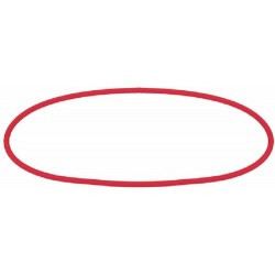 GUARNIZIONE PER CONTENITORE...