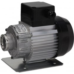 MOTORE RPM A FASCETTA 300W...