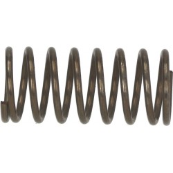 MOLLA diametro 11,5x25 mm...