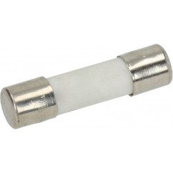 FUSIBILE 5x20mm 8A 250V...