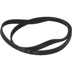 CINGHIA HUTCHINSON 1016 J5...