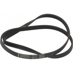 CINGHIA HUTCHINSON 1022 J4...
