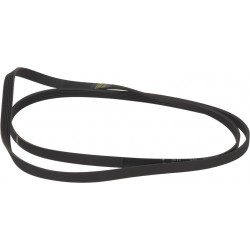 CINGHIA HUTCHINSON 1227 H6...