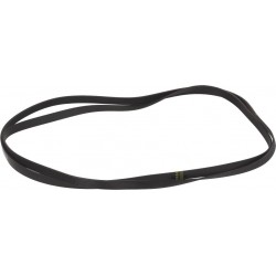 CINGHIA HUTCHINSON 1904 H7...