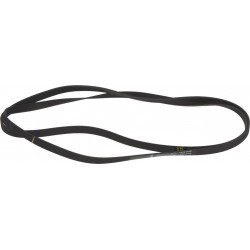 CINGHIA HUTCHINSON 1922 H8...