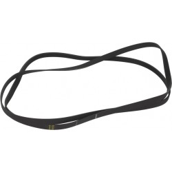 CINGHIA HUTCHINSON 1975 H7...