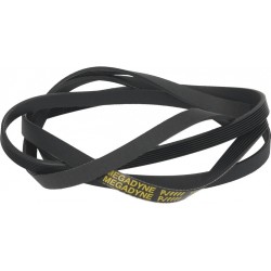 CINGHIA 1915 H7 D062256