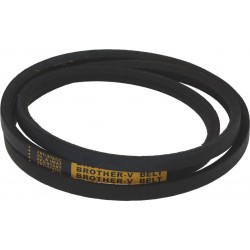 CINGHIA 3L510 D062265