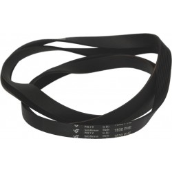 CINGHIA 1830 H8 EL D062351