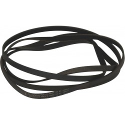 CINGHIA 1886 H5 D062352