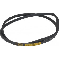 CINGHIA 3L491 ECOLINE D319301