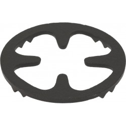 RIDUZIONE IN GHISA...