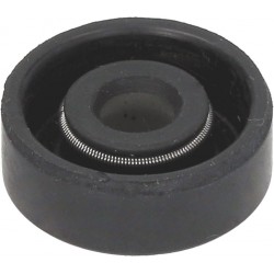 ANELLO TENUTA 6X19X7 G...