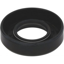 ANELLO TENUTA 20X40X10 G...