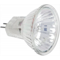 LAMPADA D221053