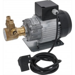 MOTORE CON POMPANTE 230V...
