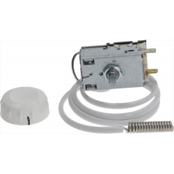 TERMOSTATO CONTENITORE K50...