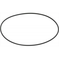 GUARNIZIONE CORPO POMPA OP...