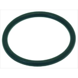 GUARNIZIONE ORM 0210-20...