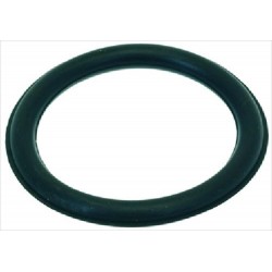 GUARNIZIONE ORM 0460-60...