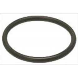 GUARNIZIONE OR 04118 EPDM -...