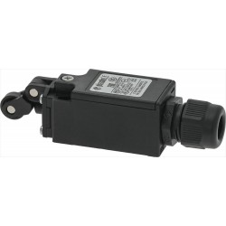 INTERRUTTORE FINECORSA...